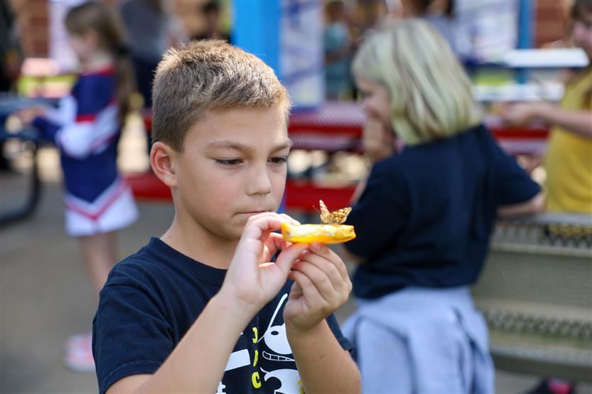A boy holds up an orange slice with a butterfly on it